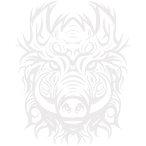 Dark Gray Lion