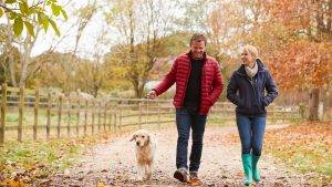 Pet Friendly Short Breaks in Derbyshire